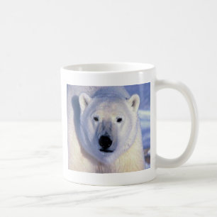 Polar björn kaffemugg