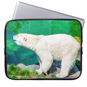 Polar björn laptop fodral