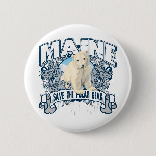 Polar björn Maine Knapp