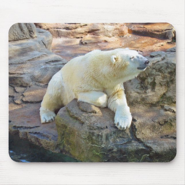 Polar björn Mousepad Musmatta (Framsidan)