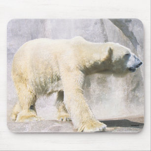polar björn musmatta