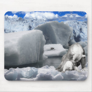 Polar björn musmatta
