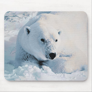 Polar björn och snö Mousepad Musmatta