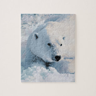 Polar björn och snö pussel