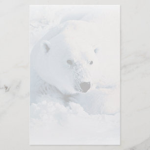 Polar björn- och snöbrevpapper brevpapper