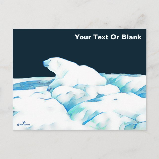 Polar Björn på is Vykort (Framsida)