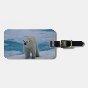 Polar björn på packeis bagagebricka
