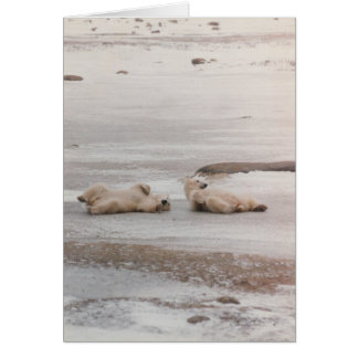 polar björn på stranden hälsningskort