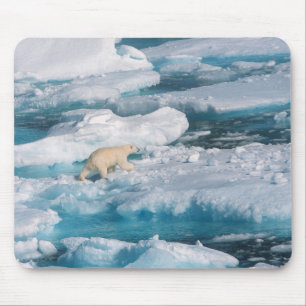 Polar björn som går på havet musmatta