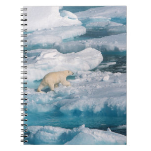 Polar Björn som går på sjön Anteckningsbok
