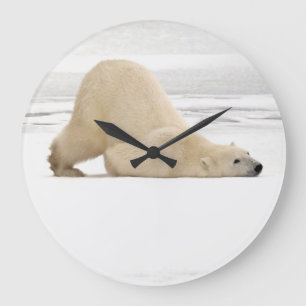 Polar björn som skrapar sig på djupfryst tundra stor klocka