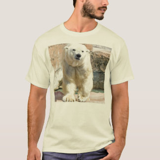 Polar björn tee shirt