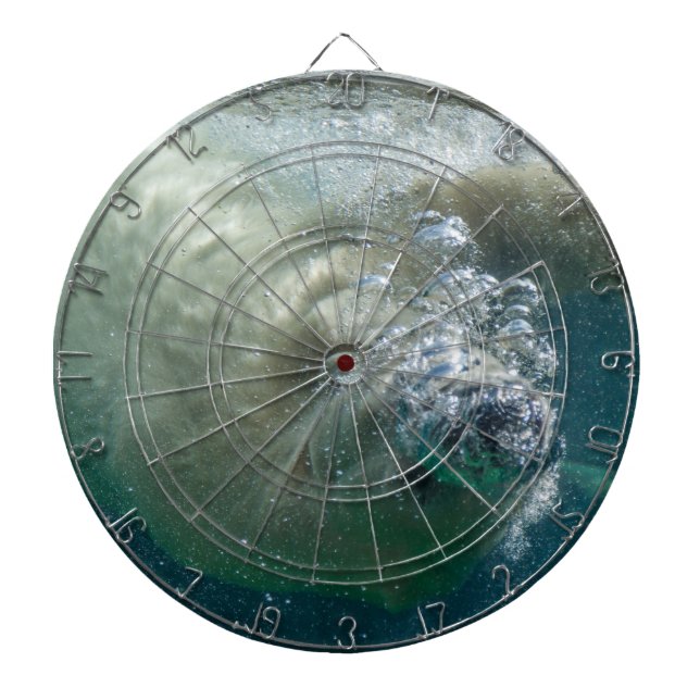 Polar björn under vatten piltavla (Framsidan)