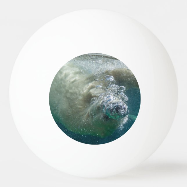 Polar björn under vatten pingisboll (Framsidan)