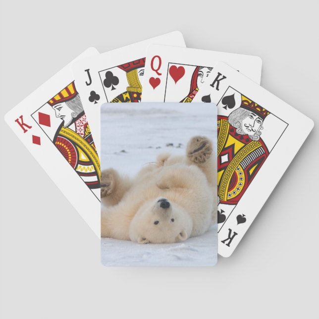 polar björn, Ursus maritimus, unge roll 3 Casinokort (Baksidan)