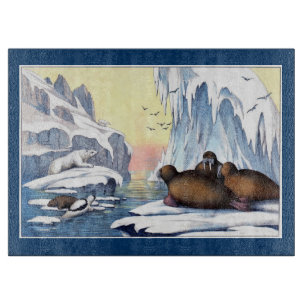 Polar, björn, valross och Sälar