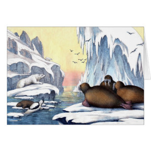 Polar, björn, valross och Sälar Hälsningskort