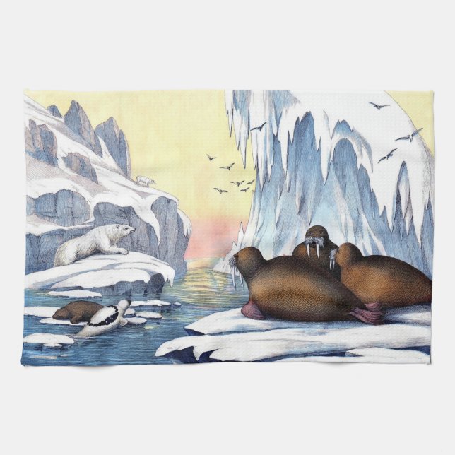 Polar, björn, valross och Sälar Kökshandduk (Horisontell)