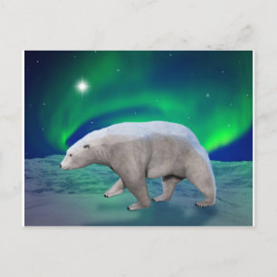 Polar björn vykort