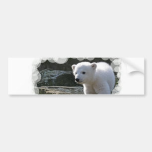 Polar björnbildekal för baby bildekal