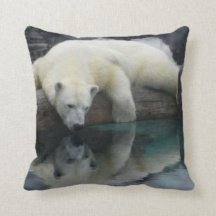 Polar björndekorativ kudde. Djurlivfotografi Kudde