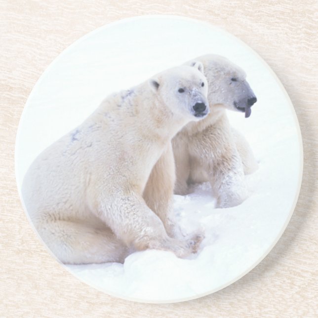 Polar björnDuo Underlägg (Framsidan)