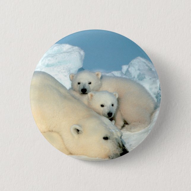 Polar björnfamilj knapp (Framsida)