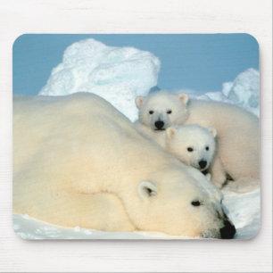 Polar björnfamilj musmatta