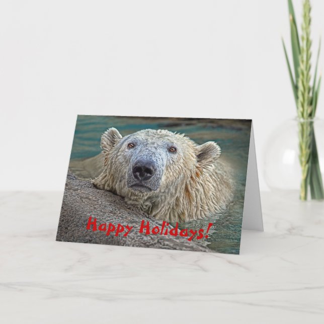 Polar björnglad helg! helgkort (Framsida)