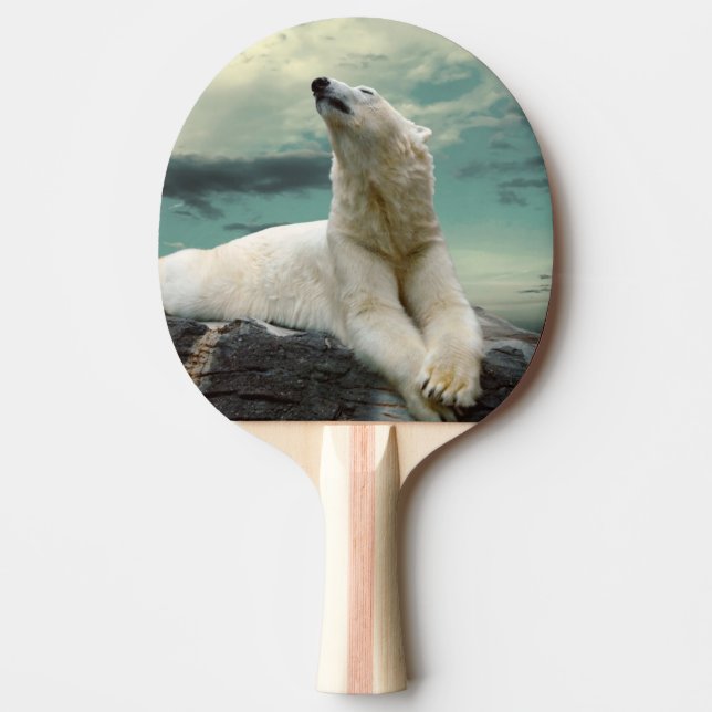 Polar björnjägare för vit på sten pingisracket (Framsidan)