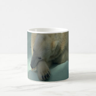 Polar björnkaffemugg kaffemugg