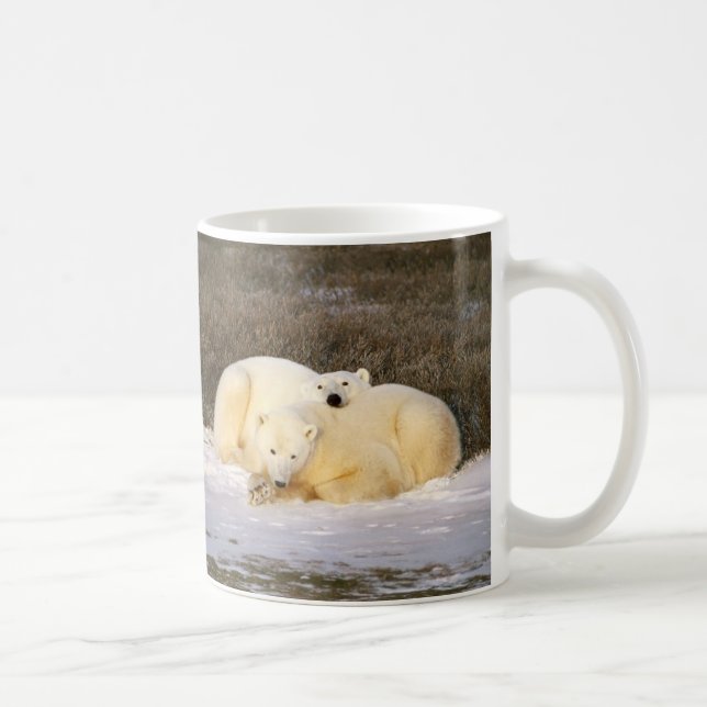 Polar björnkoppserie kaffemugg (Höger)