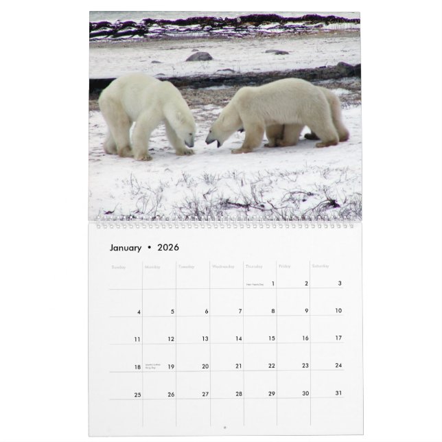 POLAR BJÖRNkung av den arktiska kalendern 2014 Kalender (Jan 2026)