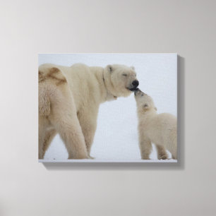 Polar björnmor med ungen canvastryck