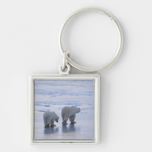 Polar björnmor och unge fyrkantig silverfärgad nyckelring (Framsidan)