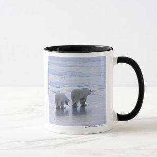 Polar björnmor och unge mugg