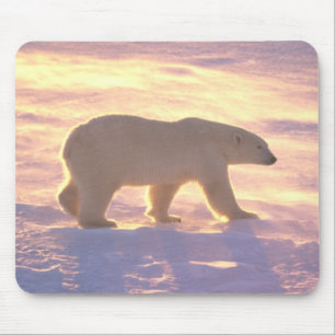Polar björnmorgon 3 Mousepad Musmatta