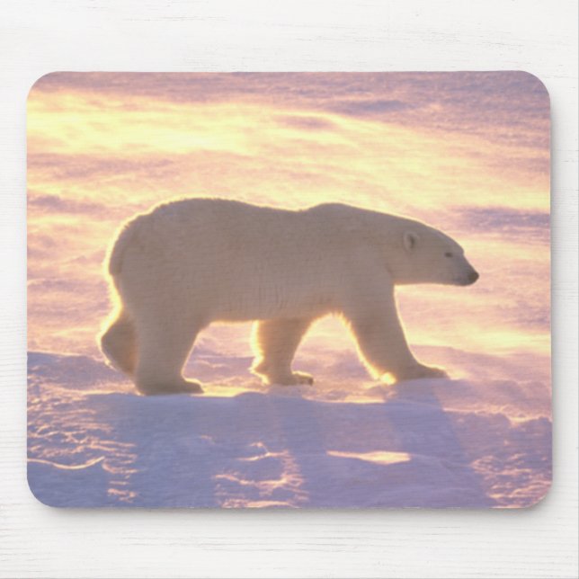 Polar björnmorgon 3 Mousepad Musmatta (Framsidan)
