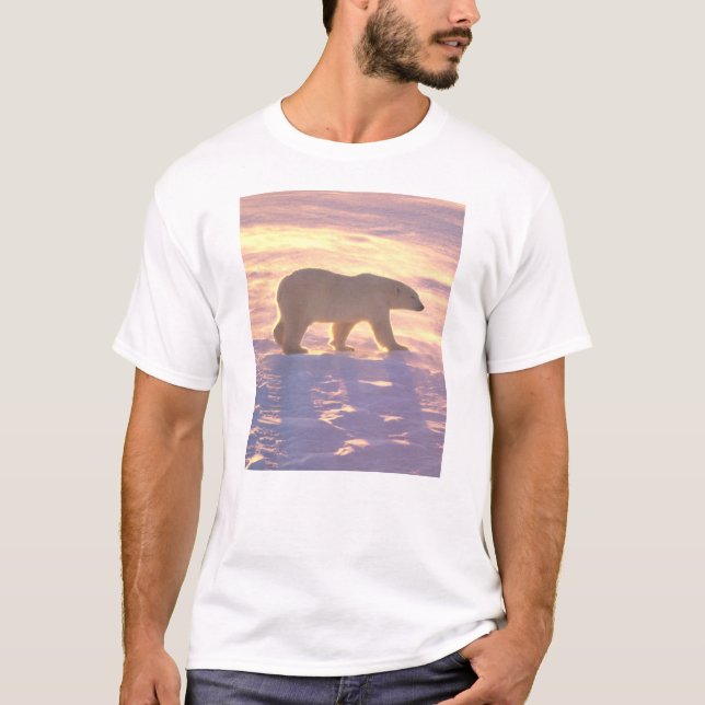 Polar björnmorgon 3 t-shirt (Framsida)