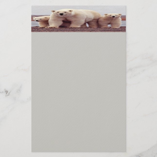 Polar björnstationeri brevpapper (Framsida)