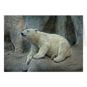 Polar björnunge #1 hälsningskort