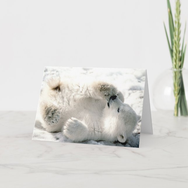 Polar björnunge kort (Framsida)