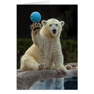 Polar björnunge med boll hälsningskort