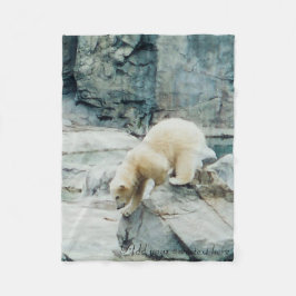 Polar filt för björnungeull