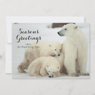 Polar hon har med Unge Julkort