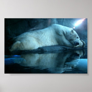 Polar i Prayer 2 Poster