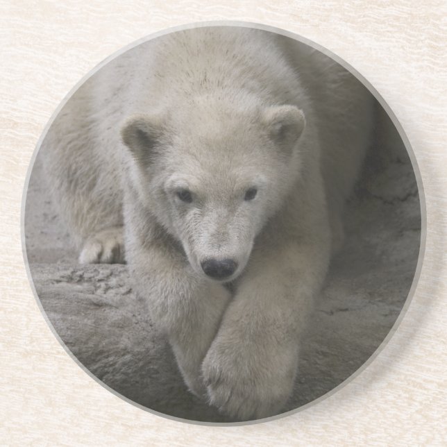 polar kustfartyg underlägg sandsten (Framsidan)