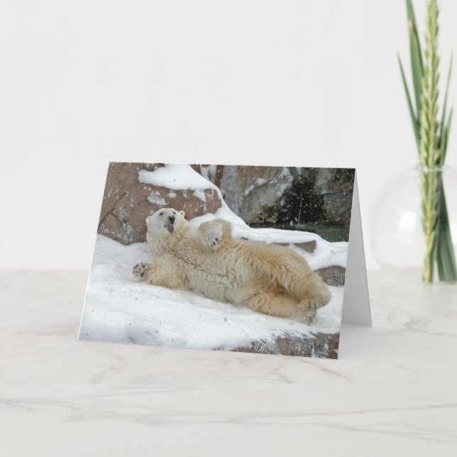 Polar lek kort (Framsida)