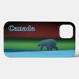 Polar Ljus Polar Bear