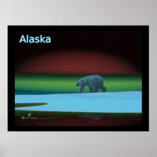 Polar Ljus Polar Bear Poster
